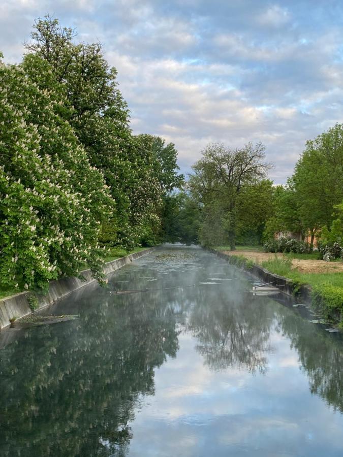Villa Elisa Vonyarcvashegy Eksteriør billede